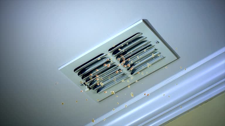 Best HVAC Air Duct Cleaning  in Smithville Sanders, IN